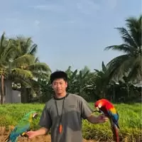 Anh Tính
